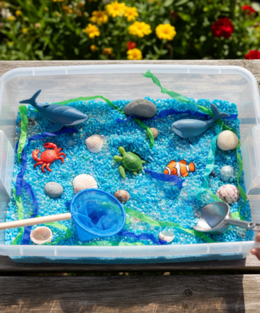 Summer Sensory Bin Ideas Your Kids